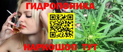 ПСИЛОЦИБИНОВЫЕ ГРИБЫ Обнинск