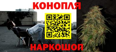 амф Обь