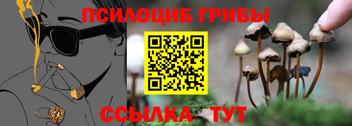 Галлюциногенные грибы MAGIC MUSHROOMS  Вход с VPN  Аргун  Псилоцибиновые грибы Cubensis 